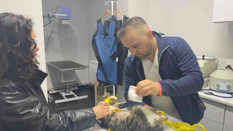 Organları yer değiştirdi, kalbi durmasına rağmen yaşam savaşını kazandı
