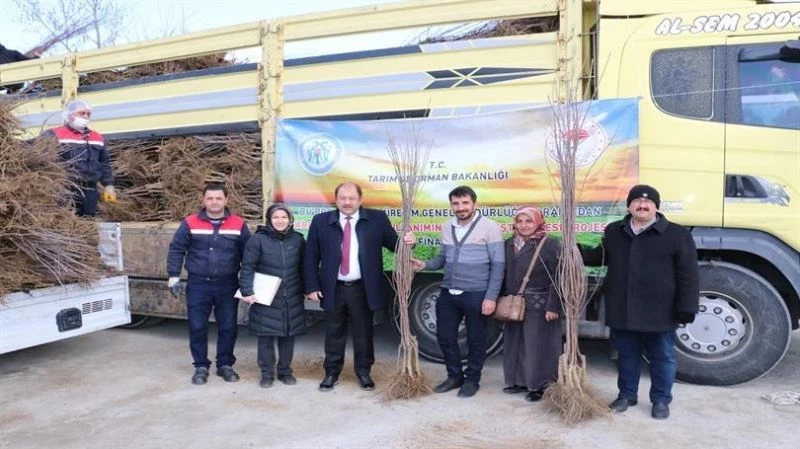 Erzincan’da meyvecilik sektörüne yatırımlar sürüyor
