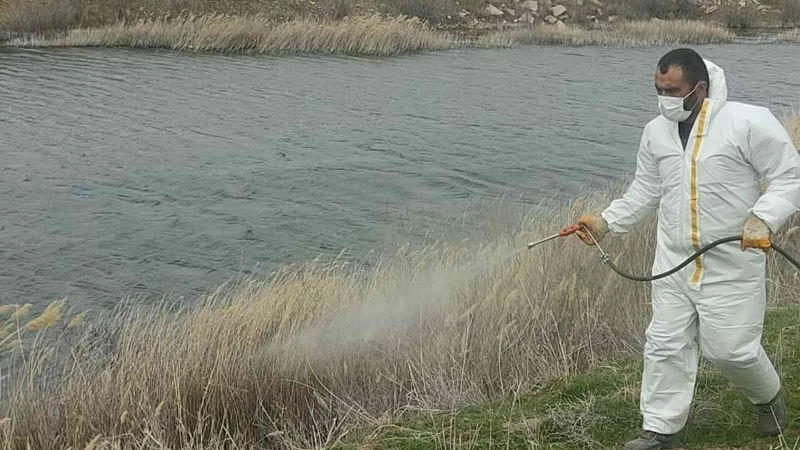 Delice’de yaz öncesi ilaçlama
