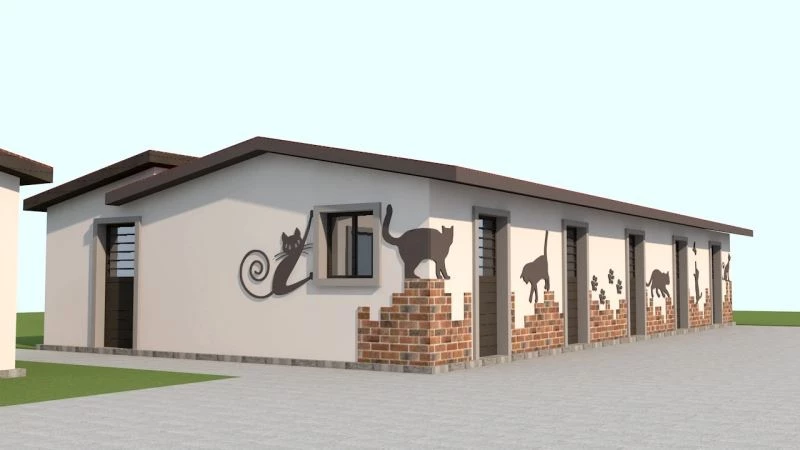 Kuşadası Belediyesi kedi tedavi ünitesi yapımında son aşamaya geldi
