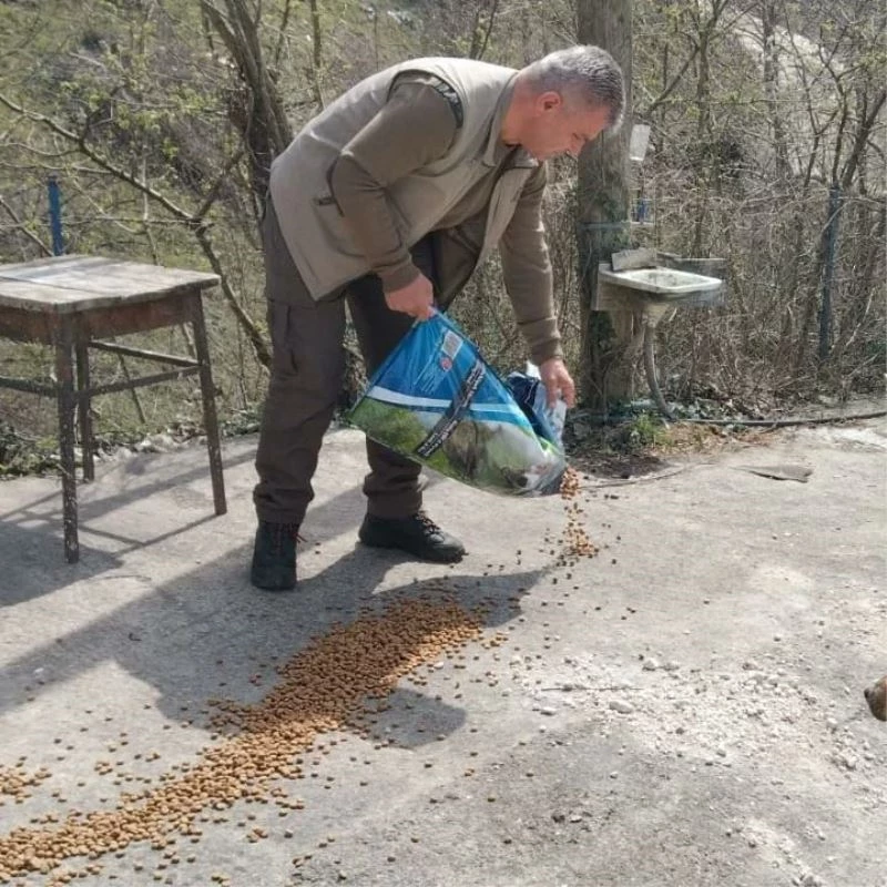 Yığılca’da hayvanlar için doğaya mama bırakıldı
