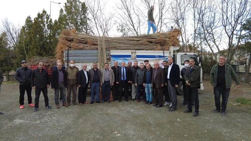 Erzincan’da 3 bin 500 adet dut fidanı dağıtıldı
