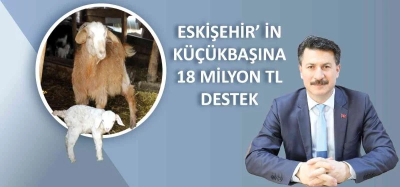 Küçükbaş hayvancılığa 18 milyon lira destek
