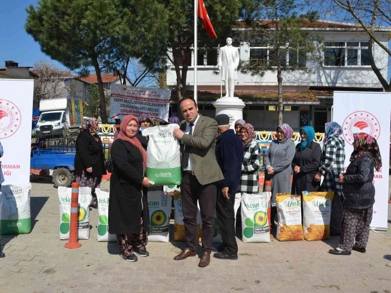 Yerli hibrit ayçiçeği tohumu dağıtıldı
