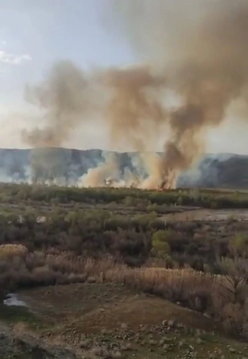 Ermenilerden akıl almaz teknik, domuzlar için ormanı yaktılar
