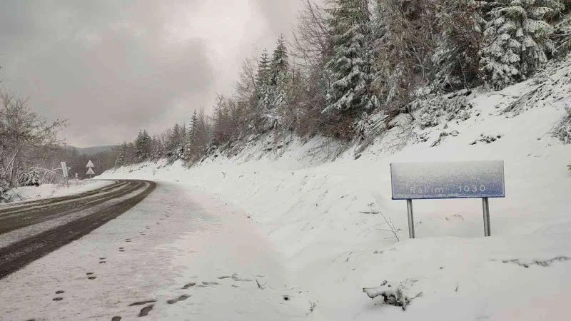 Bahar mevsiminde şaşırtan kar; meyve çiçeklerinin üstüne yağdı
