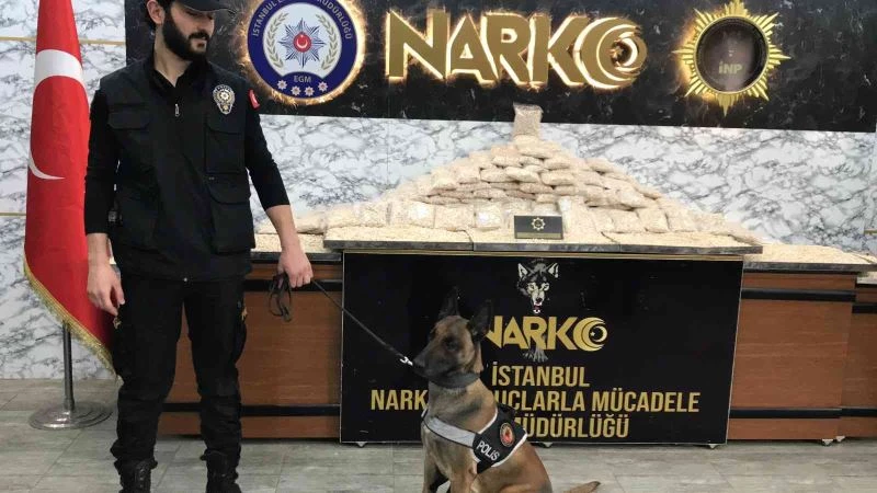 İstanbul’da yüzbinlerce uyuşturucu hap ele geçirildi
