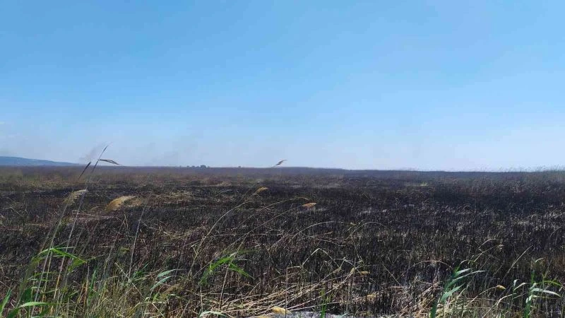Göksu Deltası’nda çıkan yangın kendiliğinden söndü

