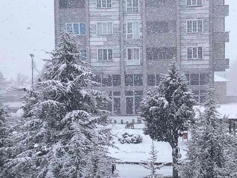 Nisan ayında Eflani ilçesi beyaz örtüyle kaplandı
