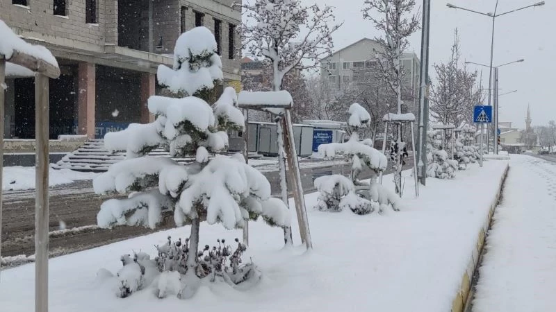 ‘Yazın yağan kar başıma’ türküsü gerçek oldu
