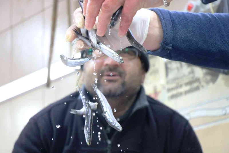 Karadeniz’de balık sezonu yasaktan önce bitti
