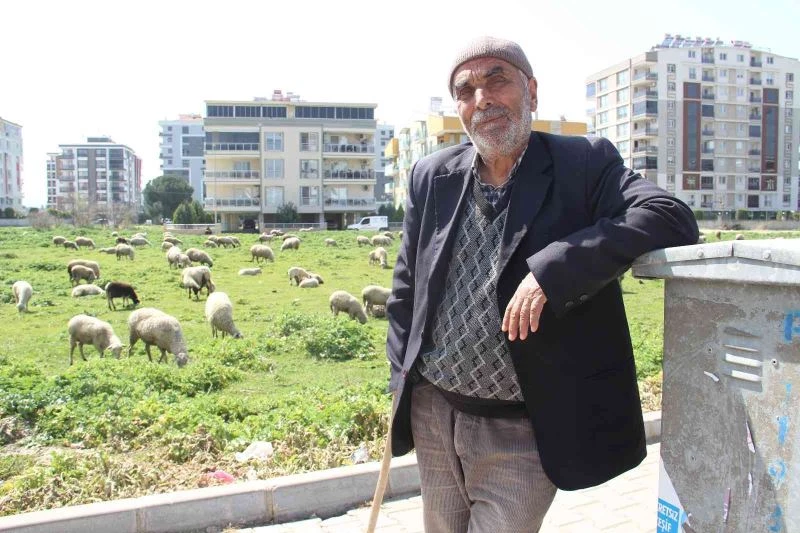 Böyle meslek sevdası görülmedi
