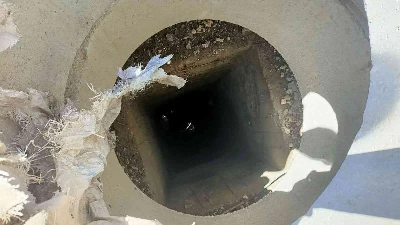 Rögar kuyusuna düşen koyun kurtarıldı
