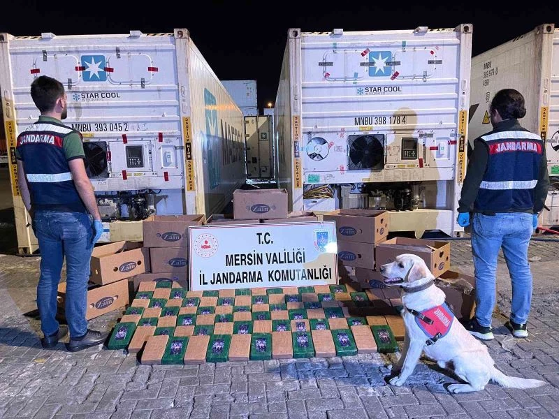 Mersin’de muz kolileri içerisine gizlenmiş 258 kilo kokain ele geçirildi

