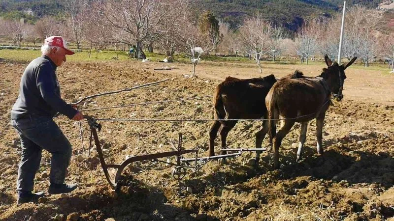 Atadan kalma ilk genelliğini sürdürüyor
