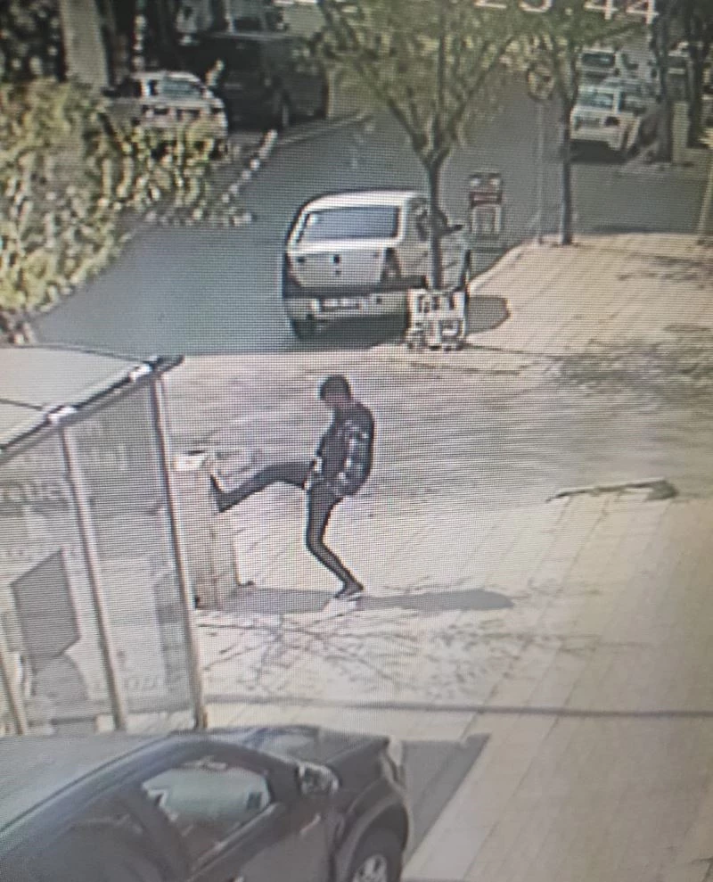 Sokak magandası, elektrik panosunu bir tekmede devirdi
