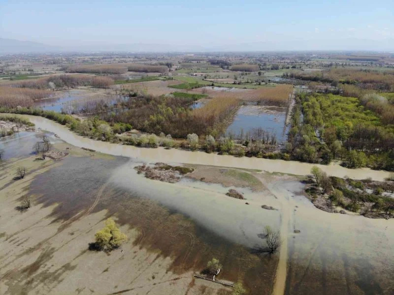 Efteni Gölü karların erimesi ve yağışlar sonrası taştı
