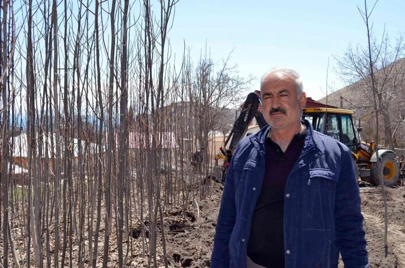 Adilcevaz ekonomisine ceviz fidanı katkısı
