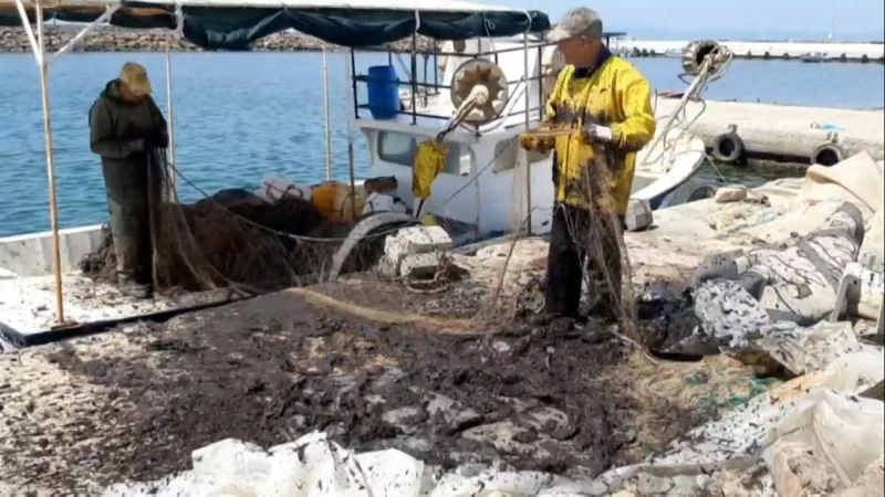 Saros Körfezi’nde balıkçıları tedirgin eden görüntü
