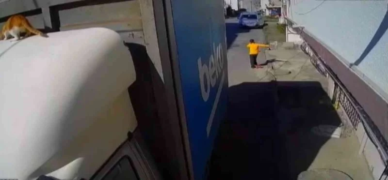 Evden kaçan yaramaz kedi kamerada
