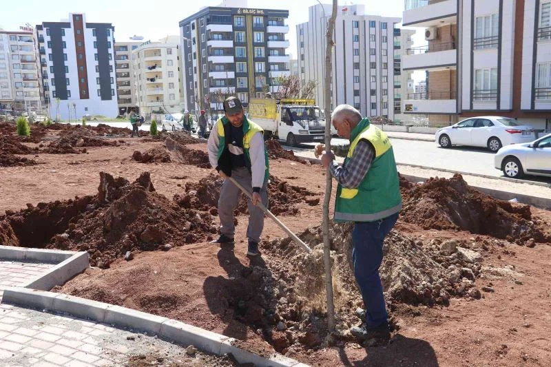 Karaköprü’de yeni parklar ağaçlarla yeşilleniyor
