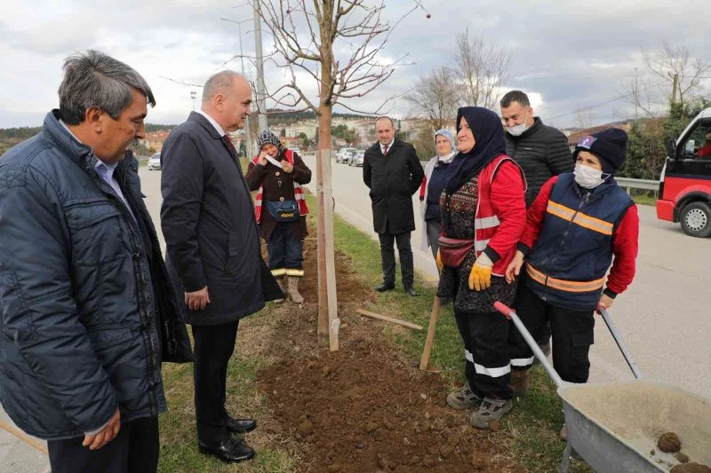 Düzce Belediyesi Park bahçeler ilk çeyreği dolu dolu geçirdi
