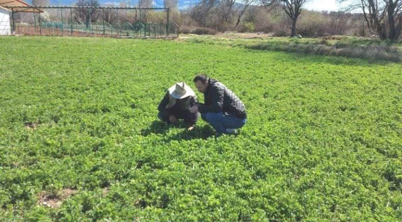 Gedizli üreticiler “Hortumlu Böcek” zararlısı ile mücadele hakkında bilgilendirildi
