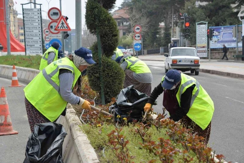 Bozüyük’te yeşil alanlardaki bakım çalışmaları sürüyor
