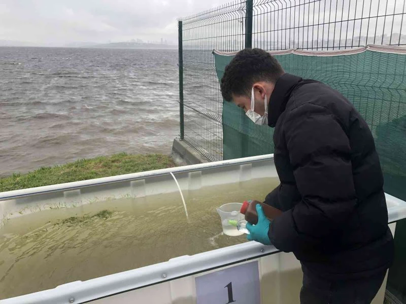 Küçükçekmece Lagünü Islah Projesi başlatıldı

