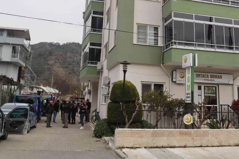 Ormancı operasyonunda 3 tutuklama
