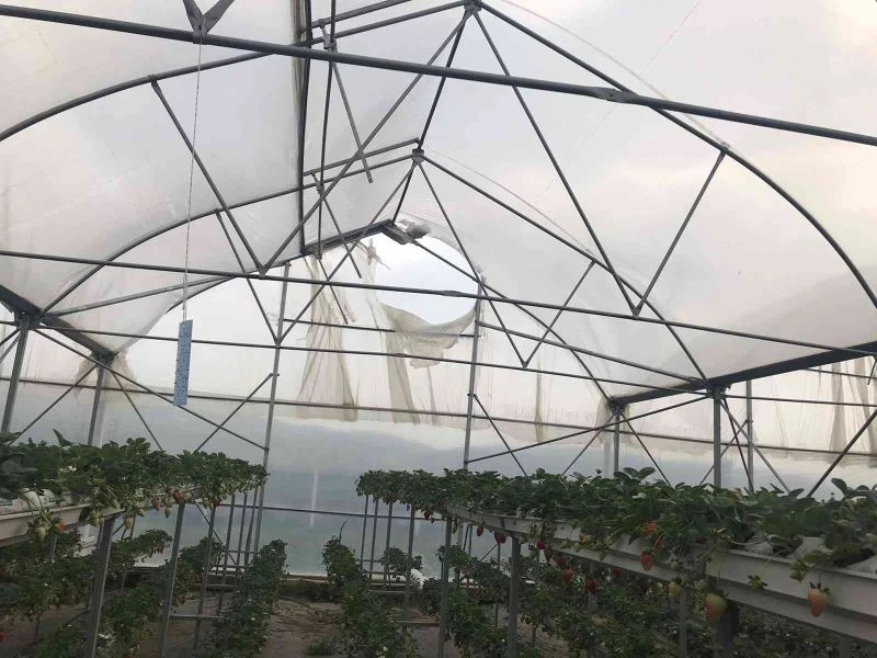 Meteoroloji’nin uyarısından sonra, rüzgarın hızı 90 kilometreyi buldu
