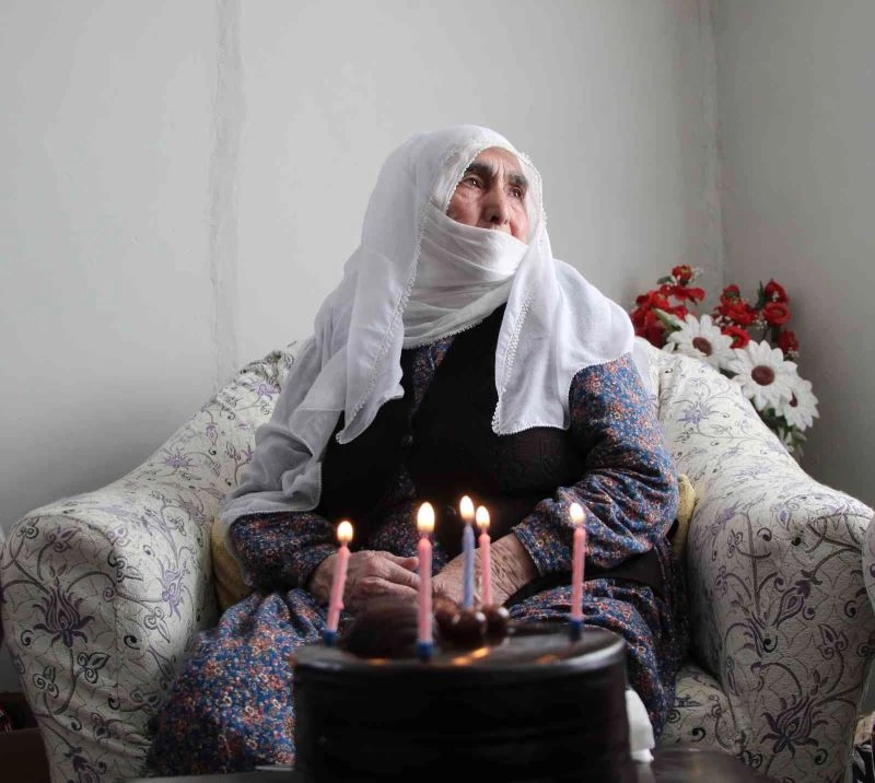 Asırlık çınar, ilk kez mum üfleyip pasta kesti
