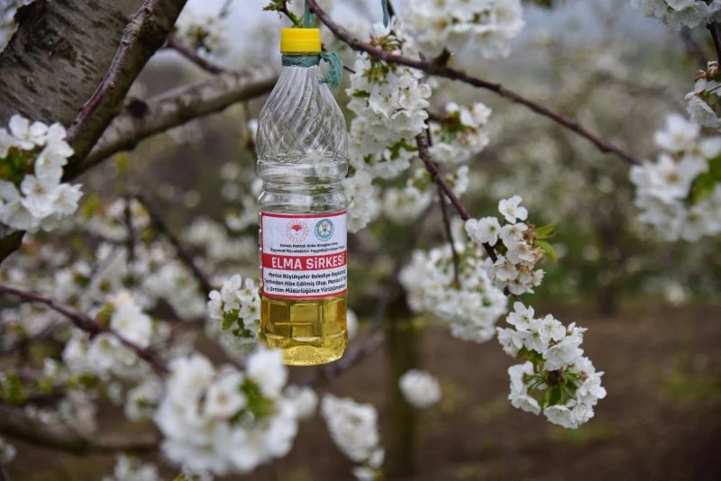 Üreticinin biyoteknik mücadelesine destek
