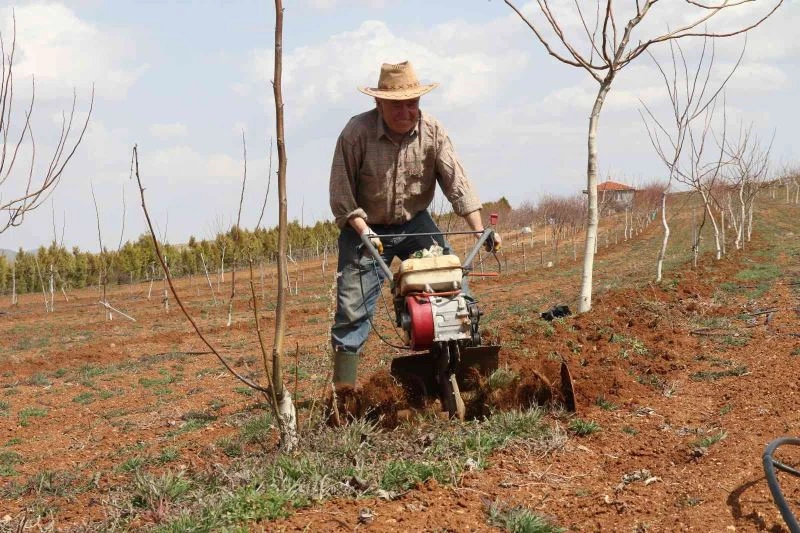 15 dekarlık meyve bahçesinin iş yükünü tek başına sırtlanıyor
