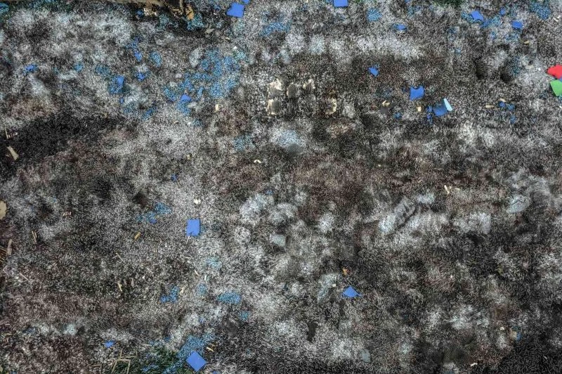 Gostomel’de milyonlarca renkli şişe etrafa saçıldı
