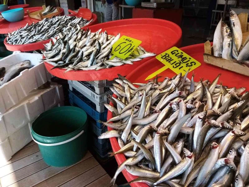 Av yasağı geldi, hamsinin fiyatı yükseldi
