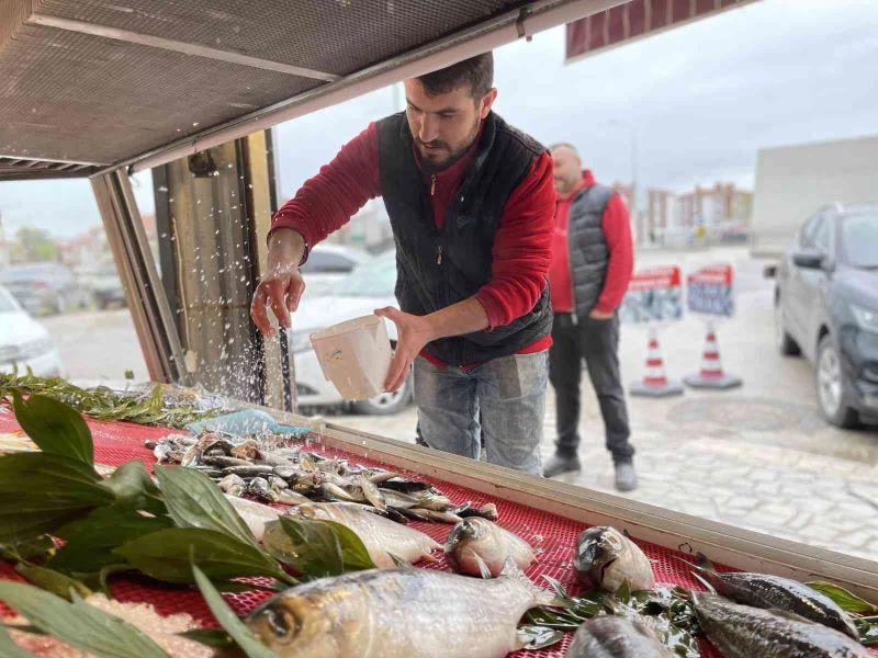 Avlanma yasağı başladı, tezgahları olta balıkları süslüyor
