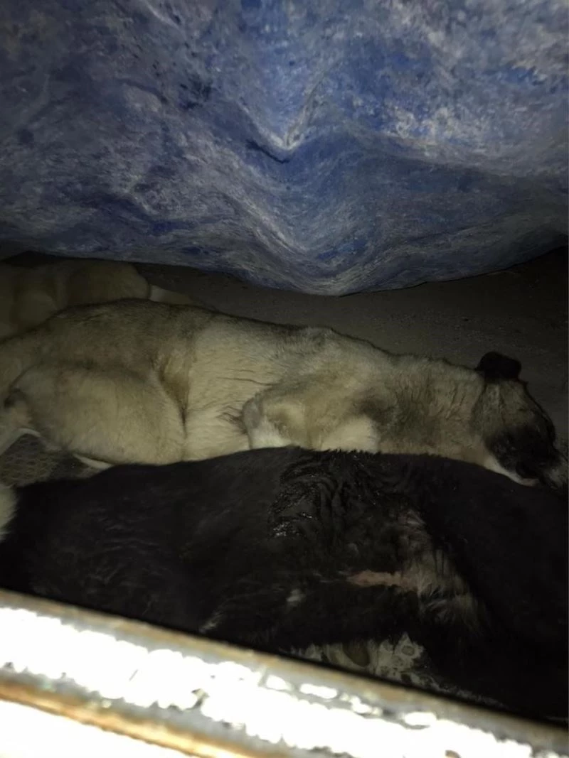 Mihalıççık’ta tepki çeken uygulama
