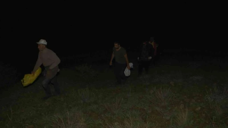 Bu bitkiyi toplamak için gökyüzü aydınlanmadan yola çıkıyorlar
