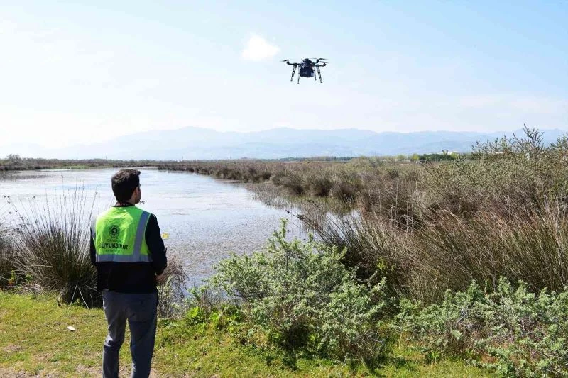Vektörle havadan mücadele
