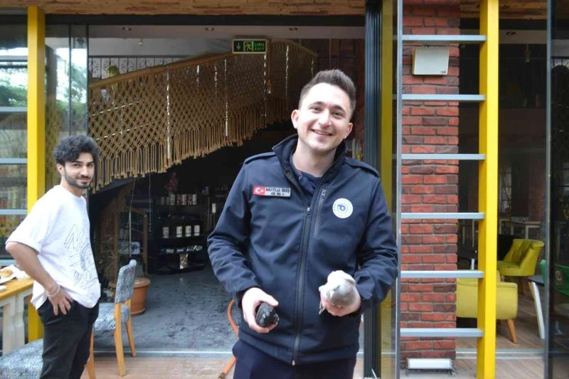 Dumandan etkilenen güvercini itfaiye eri kurtardı
