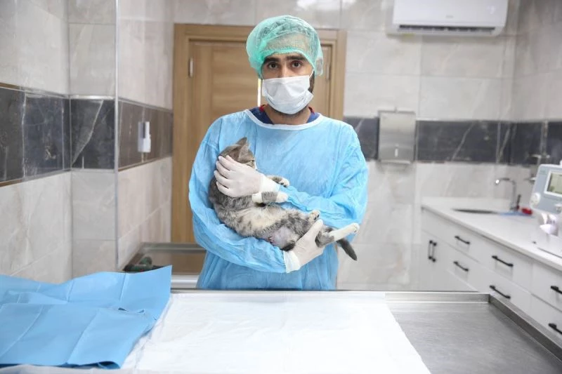 Yeni yuvalarında çok mutlular
