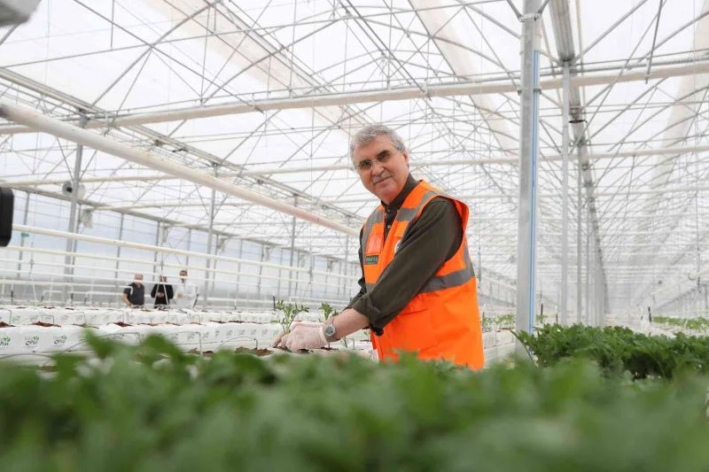 Sakarya, topraksız teknolojik tarıma hem örnek hem öncü olacak
