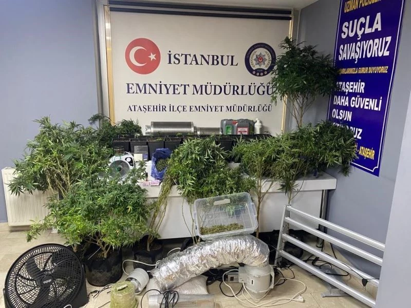 Ataşehir’de lüks rezidansta uyuşturucu serasına baskın: 2 gözaltı
