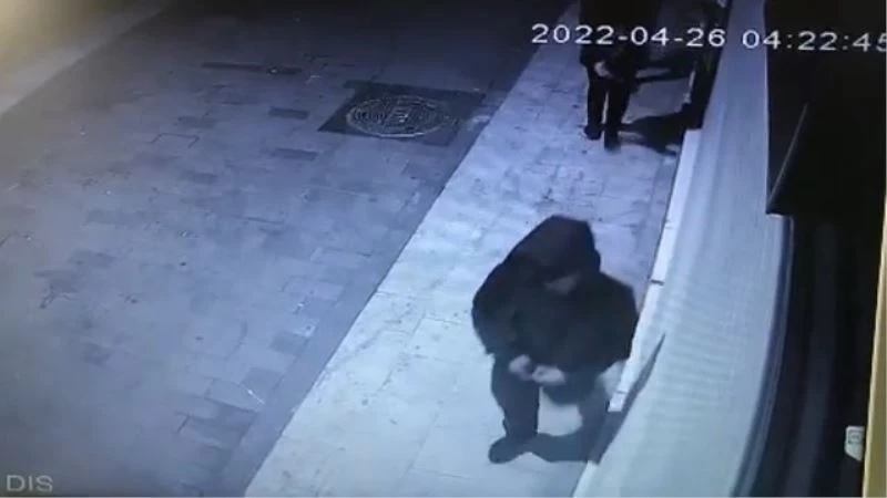 Sürüngen hırsızlar kamerada
