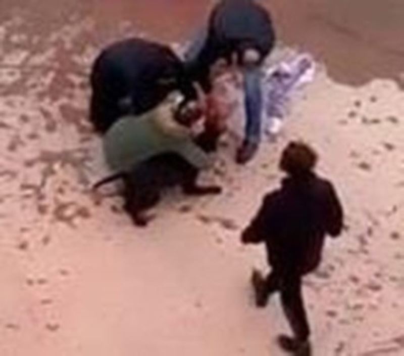 Minik Asiye’ye pitbull saldırısında tahliye edilen 3 sanık tekrar tutuklandı
