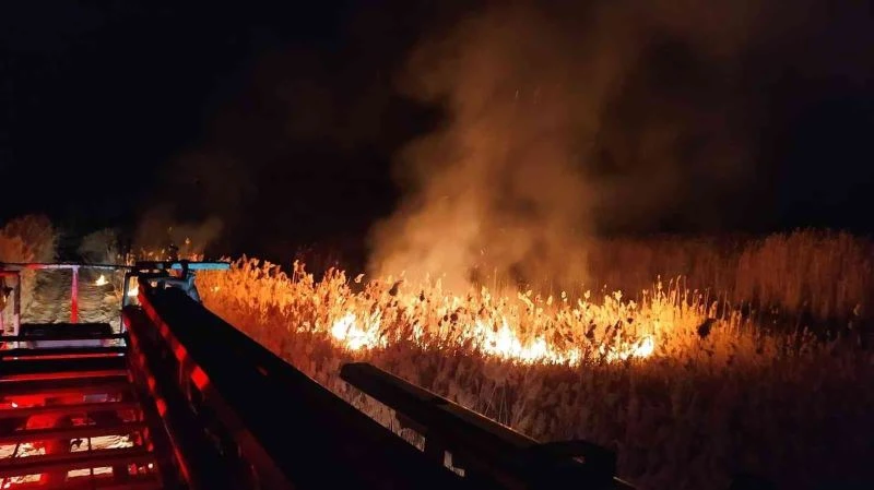Yangın zamanında müdahaleyle kavak ağaçlarına sıçramadan söndürüldü
