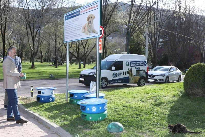 Eski lastikler kedilere ev oldu
