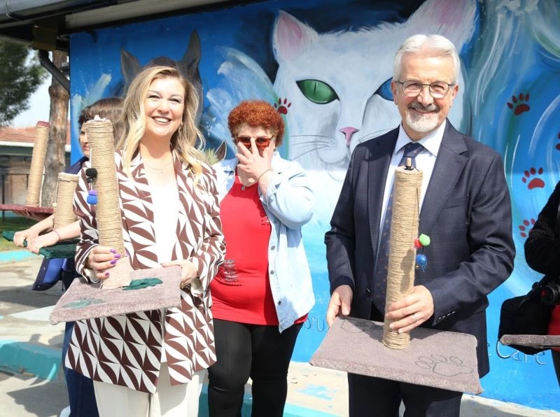 Nilüfer’de kedilere özel hizmet
