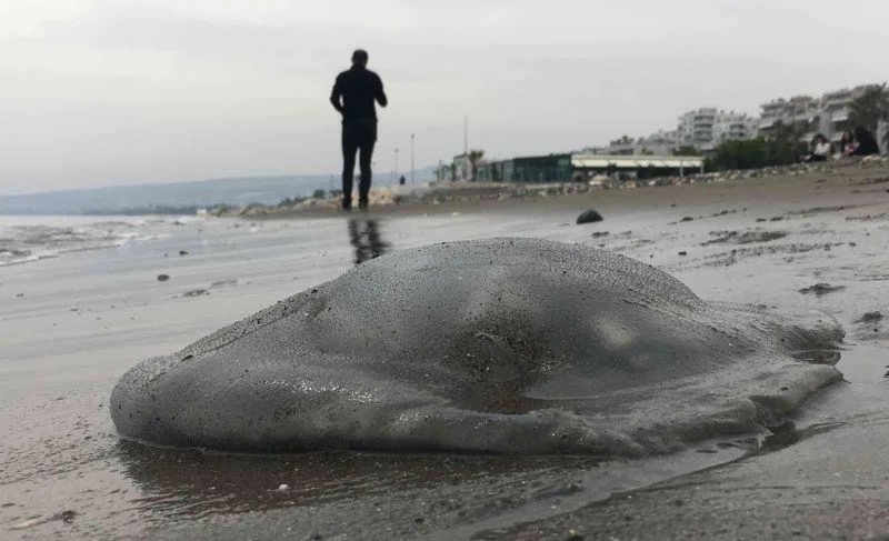 Kıyının her yerinde, dokunanı yakıyor
